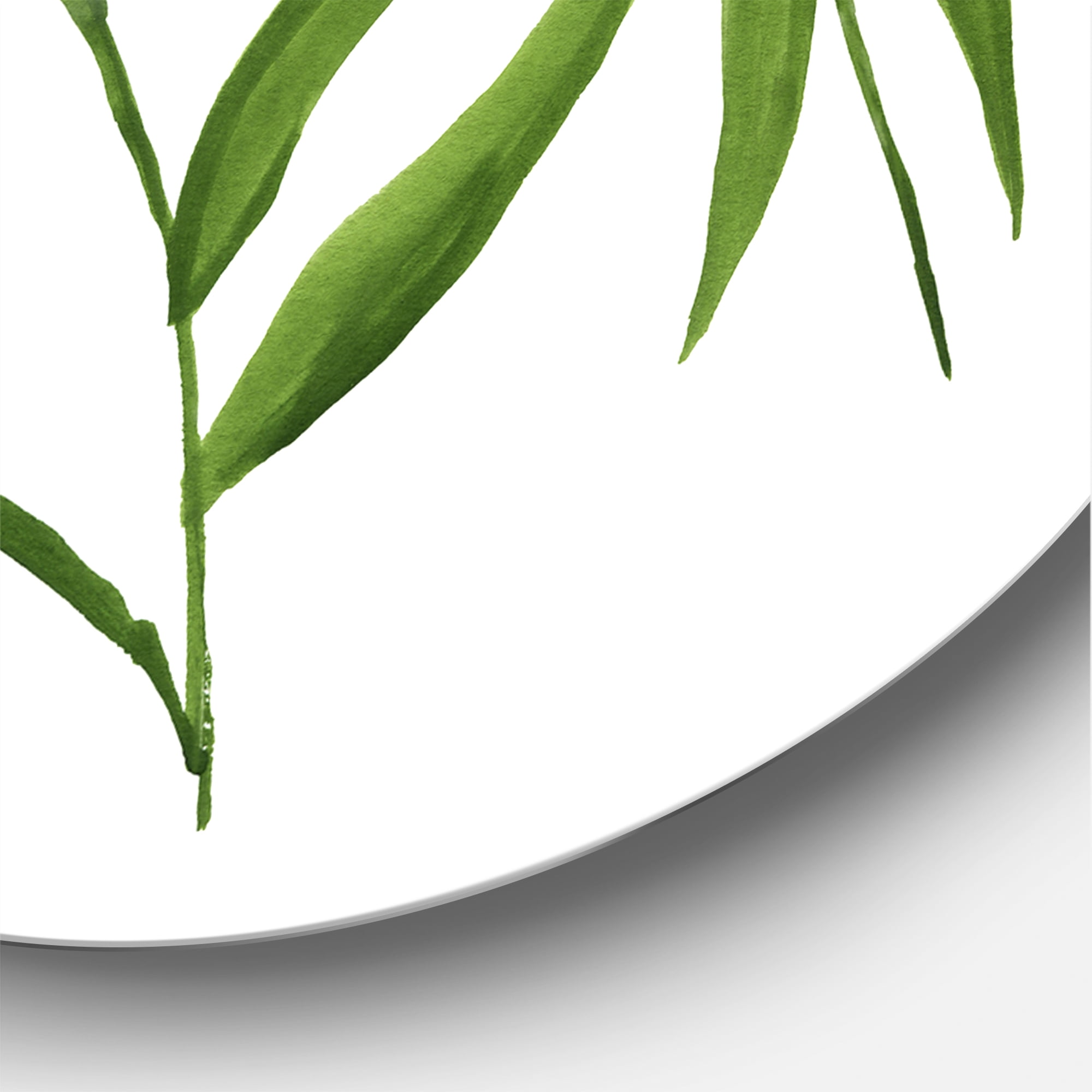 Designart 'The Forest of Bamboo Branches IV' Tropical Circle Metal Wall Art 29x29 - Disc of 29