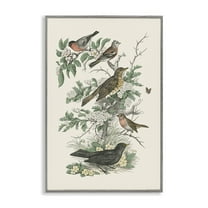 Stupell Industries Honeybloom Birds Perched Botanical & Floral Painting Gray Framed Art Print Wall Art, 16 x 24