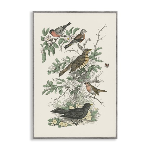 Stupell Industries Honeybloom Birds Perched Botanical & Floral Painting Gray Framed Art Print Wall Art, 16 x 24