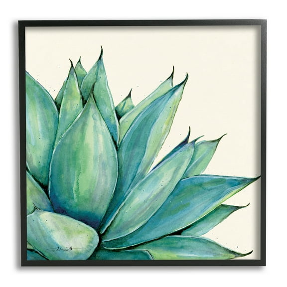 Stupell Aloe Plant Watercolor Style Leaves Botanical & Floral Painting Black Framed Art Print Wall Art
