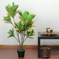thumbnail image 4 of 45.75" Green Yellow and Red Potted Artificial Croton Tree, 4 of 4
