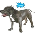 thumbnail image 2 of 5in x 4in Blue Pitbull Sticker, 2 of 6