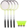 Triumph 4-Square Volleyball/Badminton Combo