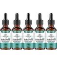 thumbnail image 1 of Tinnitus Relief Drops Echofree Ear Health Support_c*, 1 of 5
