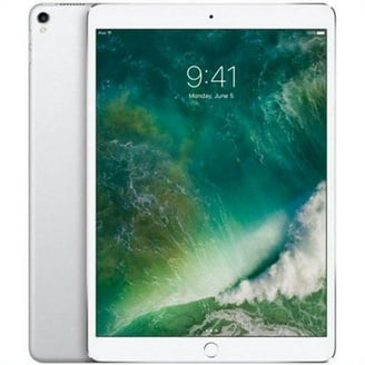 iPad pro10.5 256GB 本体 + Apple Pencil Apple 10.5-inch iPad Pro - 256GB, WiFi, Space Gray, A10X Fusion