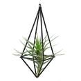 thumbnail image 4 of Quadrilateral Hanging Air Plant Holder - Elegant Room Decor, 4 of 8
