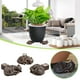 thumbnail image 1 of XWSHYW Herramientas para El Hogar Bonitas Patas de Bacinilla para Perros, Un Regalo Decorativo., 1 of 6