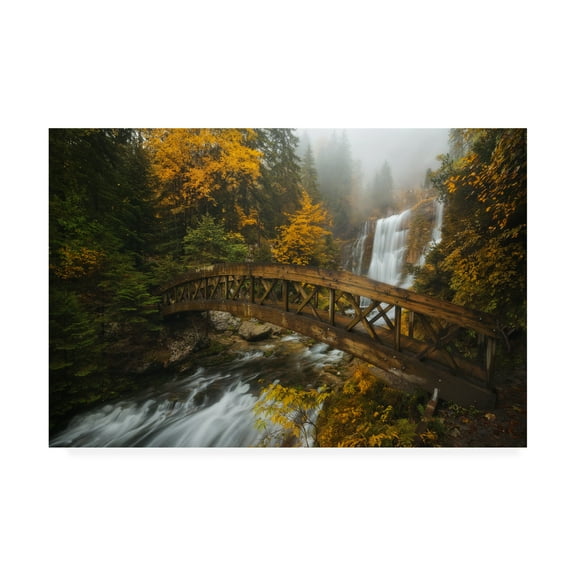 Trademark Fine Art 'A Bridge in the Forest' Canvas Art by Enrico Fossat