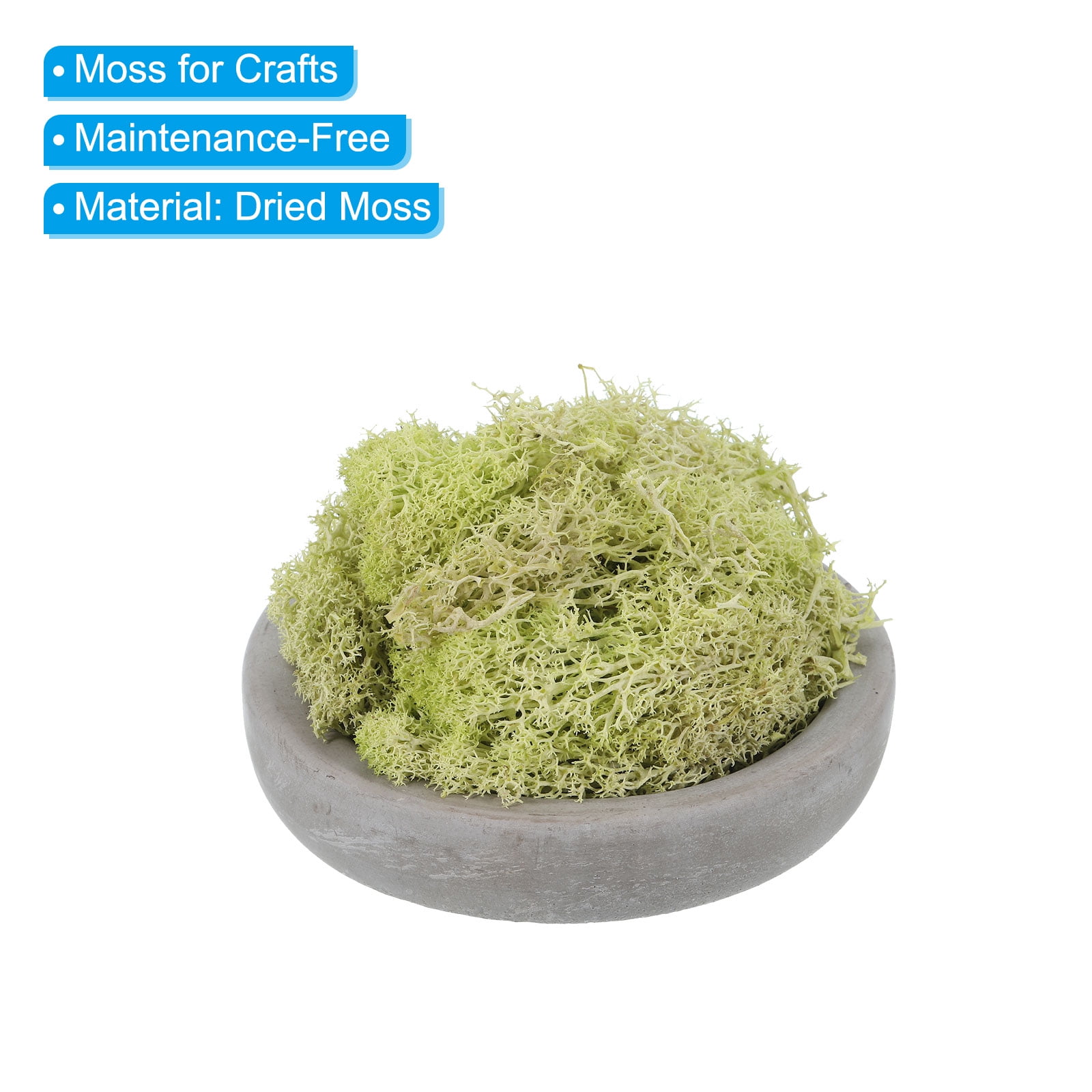 Uxcell Fake Moss, Preserved Reindeer Moss Artificial Lichen Centerpieces Decor Faux Moss Yellow/Orange/Yellow Green/Coffee