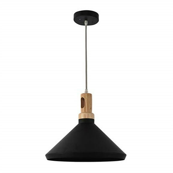 Noir Collection One Light Pendant
