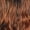 DR GINGER COPPER BALAYAGE, variant on Outre Wigpop Synthetic Full Wig - VEENA (Color:613)