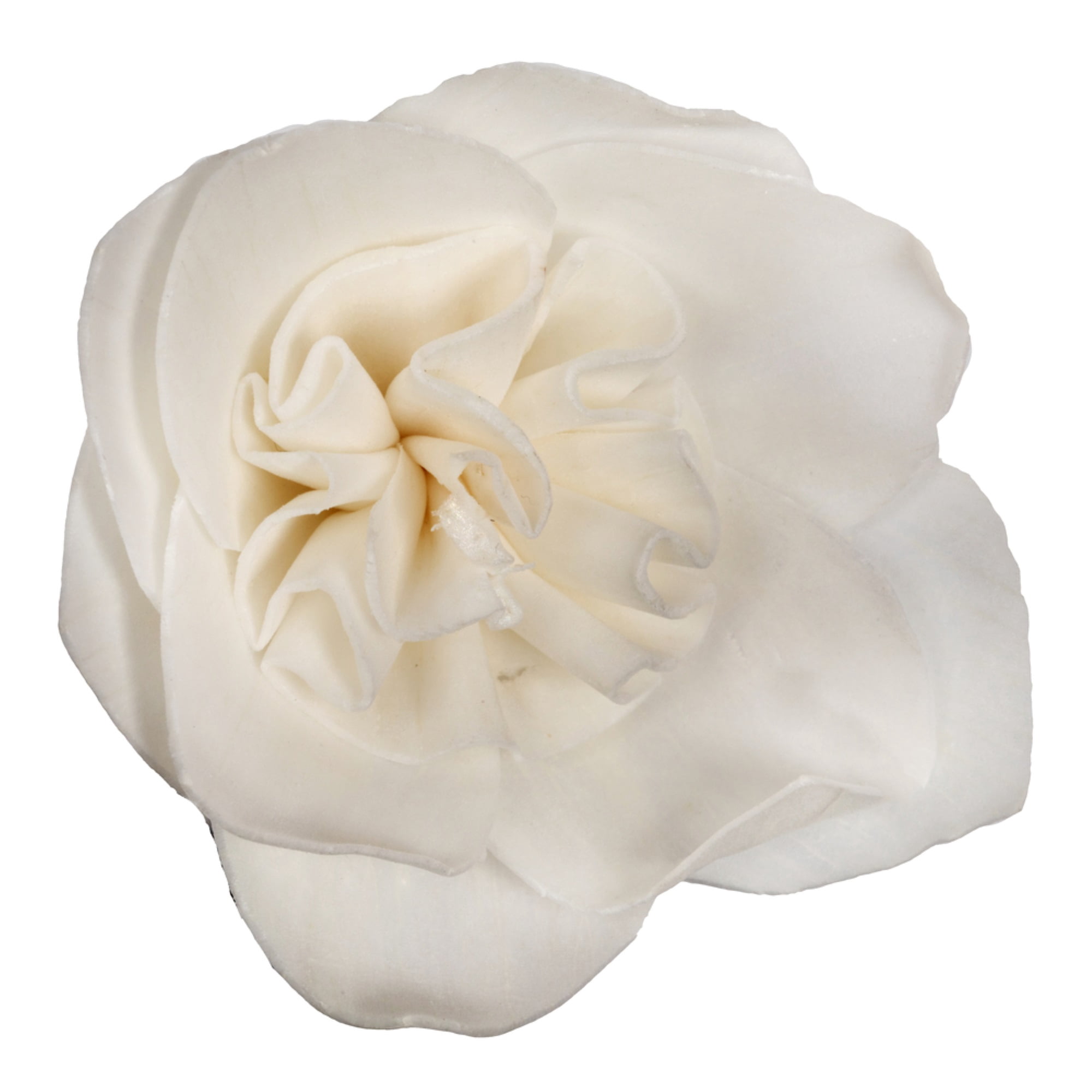 Vickerman 686393 - 1-3" Assorted Gardenia Sola Head 24/bg (H7SFL045) Dried and Preserved Flowers