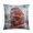Pattern, variant on Realistic Watercolor Painting Of London Red Double Decker Bus Cushion Pillow Cover 16"x16" Travel Themed Linen Pillow Cover Outdoor Pillows for Sofa Car Couch Living Room Bedroom