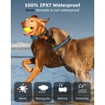 thumbnail image 4 of Collar de adiestramiento para perros Jugbow Shock 2 Dogs, 4 modos de entrenamiento, 4 of 7