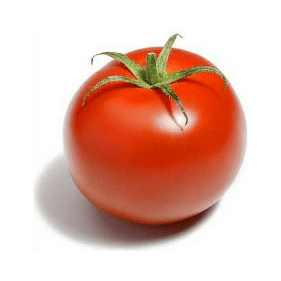 Tomato Siberian Great Heirloom Vegetable By Seed Kingdom BULK 1 OZ Seeds