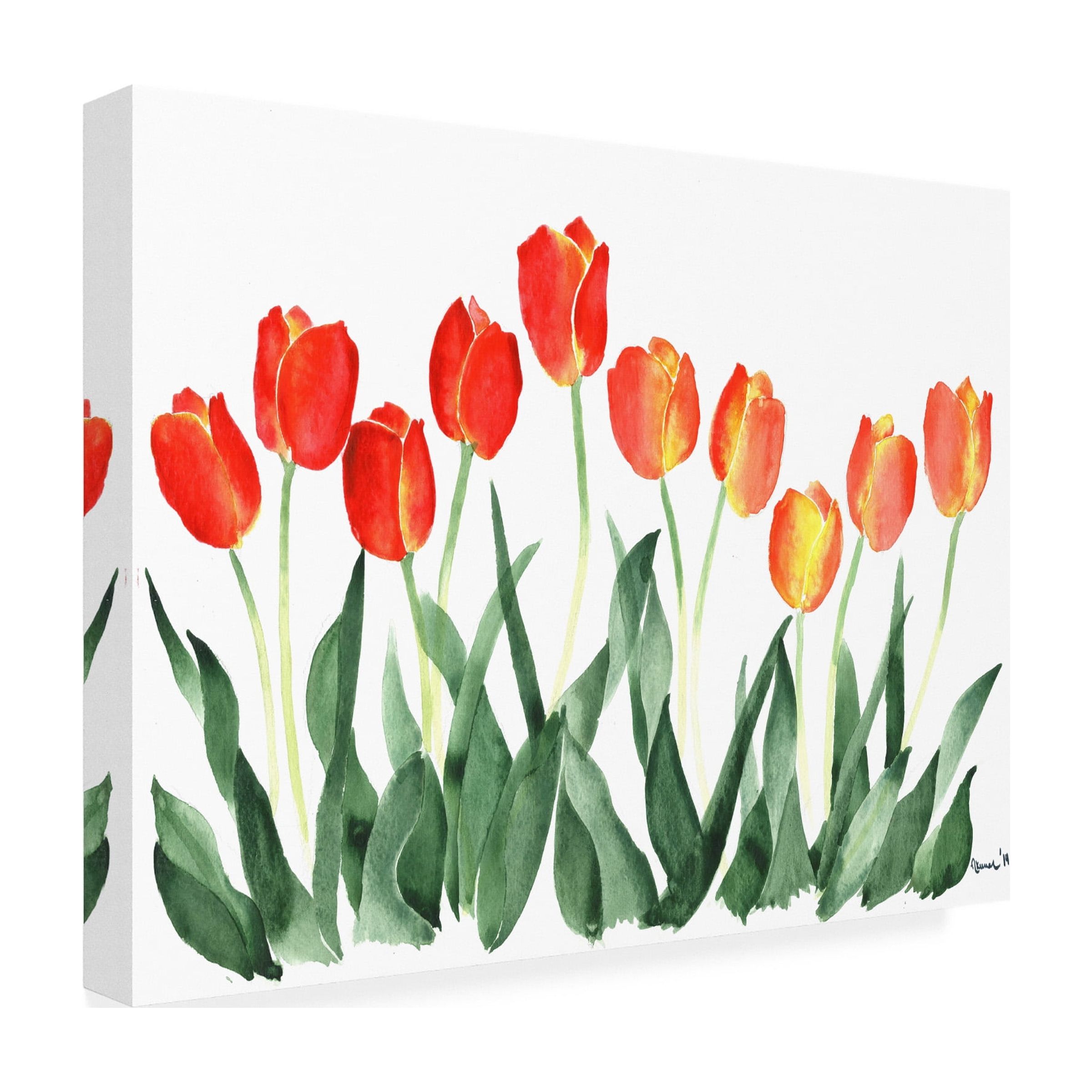Trademark Fine Art 'Tulips' Canvas Art by Nicky Kumar