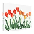 thumbnail image 4 of Trademark Fine Art 'Tulips' Canvas Art by Nicky Kumar, 4 of 4