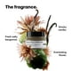 thumbnail image 4 of L'Oréal Professionnel Absolut Repair Molecular Mascarilla | Mascarilla reparadora | Para cabello muy, 4 of 7