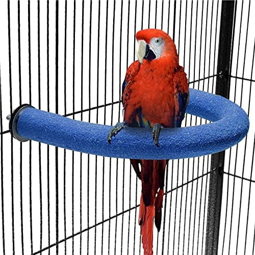 U-Shape Bird Perch Stand - Paw Grinding & Exercise Platform for Conures, Budgies & Cockatiels, Blue