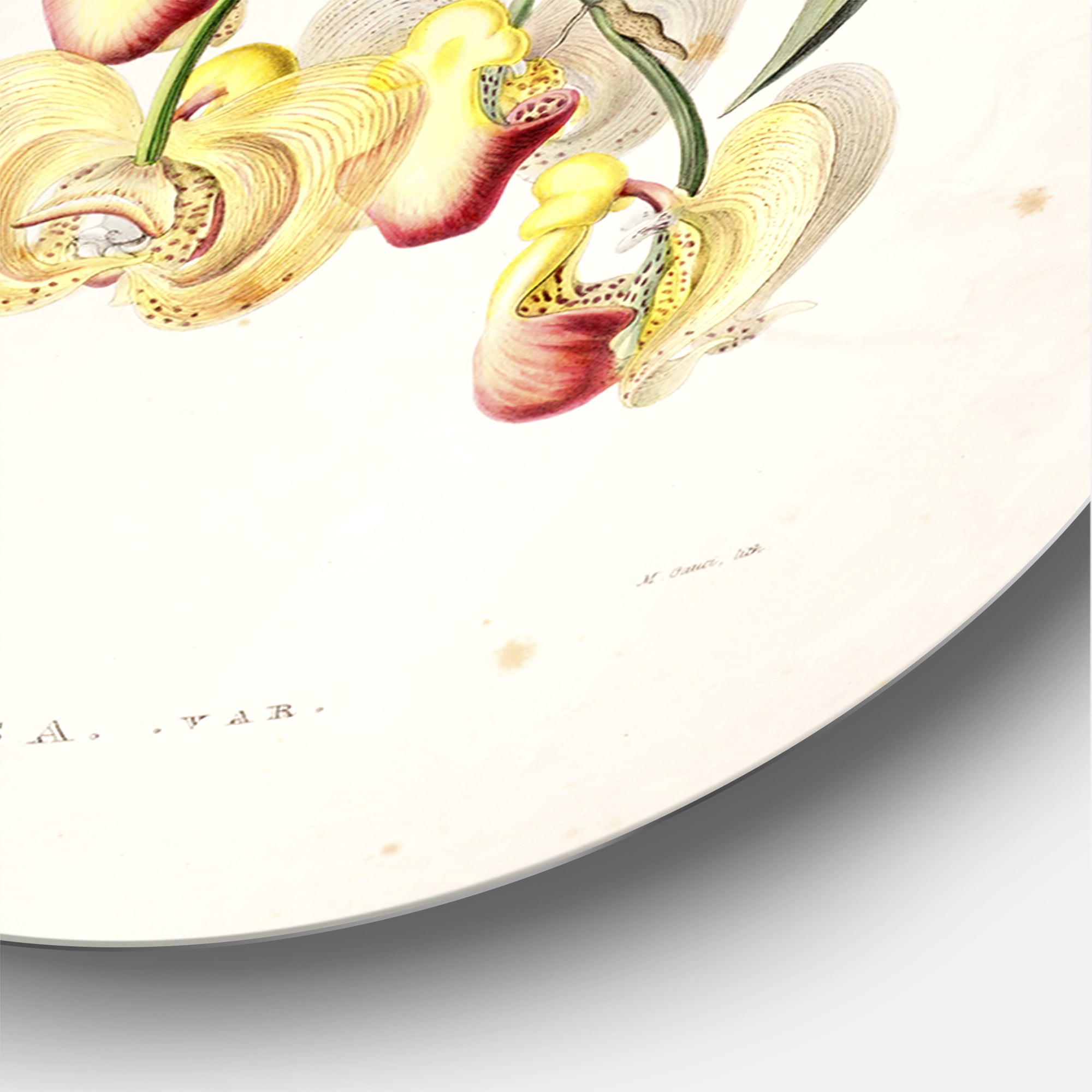 Designart 'Blossoming Vintage Flower I' Traditional Circle Metal Wall Art 23x23 - Disc of 23