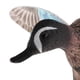 thumbnail image 3 of Señuelo de pato de caza Zulema Al aire libre Mallard a distancia volando girando, 3 of 8
