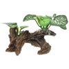 Image thumbnail_image