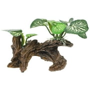 Image medium_image