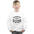 thumbnail image 2 of Harry Potter Boys Gryffindor Keeper Sweatshirt, 2 of 5
