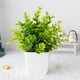 thumbnail image 3 of Kearding Naturaleza en el interior con plantas artificiales para el hogar y la oficina Limpie el polvo Decoración Eucalipto, 3 of 6