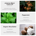 thumbnail image 7 of Olazarah Jamaican Black Castor Oil Shampoo with Shea Butter, Peppermint, Apple Cider Vinegar (2 Pack), 7 of 7