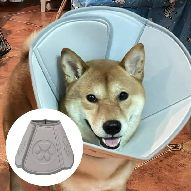 25cm dog outlet cone
