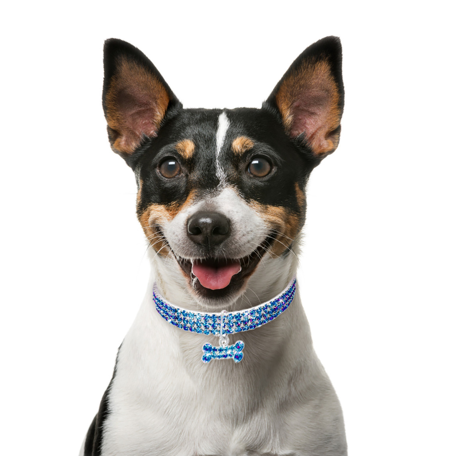 J Necklace for Boys Cute Mini Pet Dog Bling Rhinestone Chocker Collars Fancy Dog Necklace Ashes Necklace - image 2 of 7