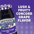 thumbnail image 5 of Smucker's Concord Grape Jelly, 18 oz, 5 of 7