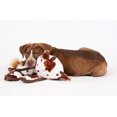 thumbnail image 2 of Cuddle Tugs Pig Plush Interactive Dog Tug Toy, 2 of 5