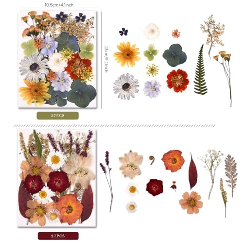 5 Packs of 140 Real Pressed Dried Flowers and Leaves with Tweezers for DIY Crafts, Resin Jewelry, Card Making, Soap, Candles, Nail Art, and Scrapbooking (5 Colors)