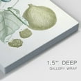 thumbnail image 3 of Buchoz Tropicals VIII Premium Gallery Wrapped Canvas - Ready to Hang, 3 of 9
