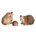 thumbnail image 4 of 3x modelos de animales erizo juguete educativo de aprendizaje animales figura de acción favores de fiesta decoración de escritorio para niños niñas, 4 of 9