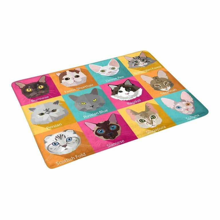 MKHERT Funny Cat Kitten Collection Set of Popular Breeds of Cats