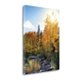 thumbnail image 2 of Tangletown Art, 24 x 18 "Autumn Sun " by Dennis Frates, Gallery Wrap Canvas Art, 2 of 2