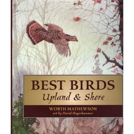 Best Birds Upland and Shore - eBook (Best Upland Bird Gun)