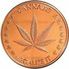 1 oz Copper Round Coin Collector