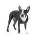 thumbnail image 3 of Puppia arnés suave para perro / gato talla Chico PUPPIA PDCF-AC30, 3 of 4
