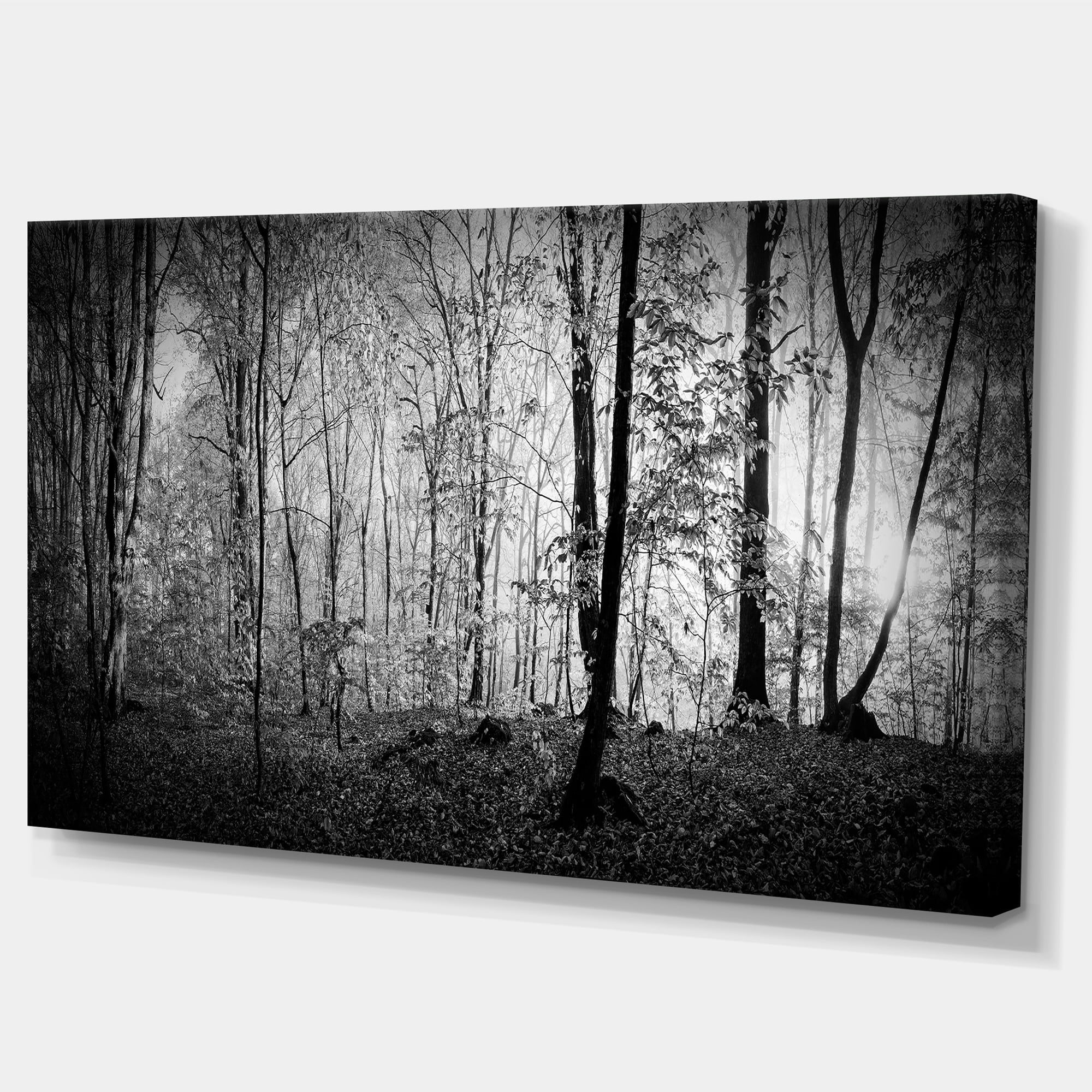 Designart 'Beautiful Forest Morning Panorama ' Landscape Canvas Art Print