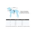 thumbnail image 2 of Costume de Citrouille pour Animaux, 2 of 7