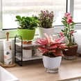 thumbnail image 1 of Jardinière Auto-Arrosante Pots de Violette Africaine Pot de Fleurs en Plastique Blanc avec Mèche pour Toutes les Plantes d'Intérieur Fleurs Herbes Pp Couche de Séparation Pot de Jardinière Détachable pour Jardin, 1 of 2