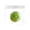 Green#01, variant on Realistic Food Slow Rebound Squishy Fidget Toys for Adults, TPR Soft Rubber Tactile Gadget, Keychain Bag Charm Desktop Decor Assorted Styles 1 Pack