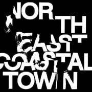 The Life - North East Coastal Town - Vinyl