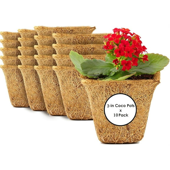 Tutuviw 10 Pack Coco Coir Seed Starter Pots,3"Biodegradable Seed Starter Pots,Coco Coir Plant Pots,Organic Biodegradable Germination Nursery Pots for Flower Vegetables Saplings