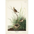 thumbnail image 2 of Audubon, John James 11x14 Black Ornate Wood Framed with Double Matting Museum Art Print Titled - Pl. 149 Sharp-tailed Finch, 2 of 4