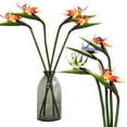 thumbnail image 5 of Silicone Iron Artificial Plants Artificial Bird-of-paradise Flowers Realistic Lifelike Low Maintenance Home Decoration, 5 of 8